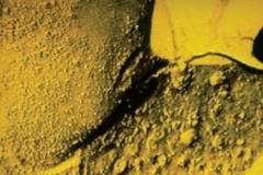 Micrografie-di-sinapsi-2