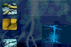 Il Neurone