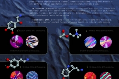 Neurotramettitori, le ammine