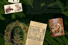 Tabacco