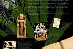 Cannabis